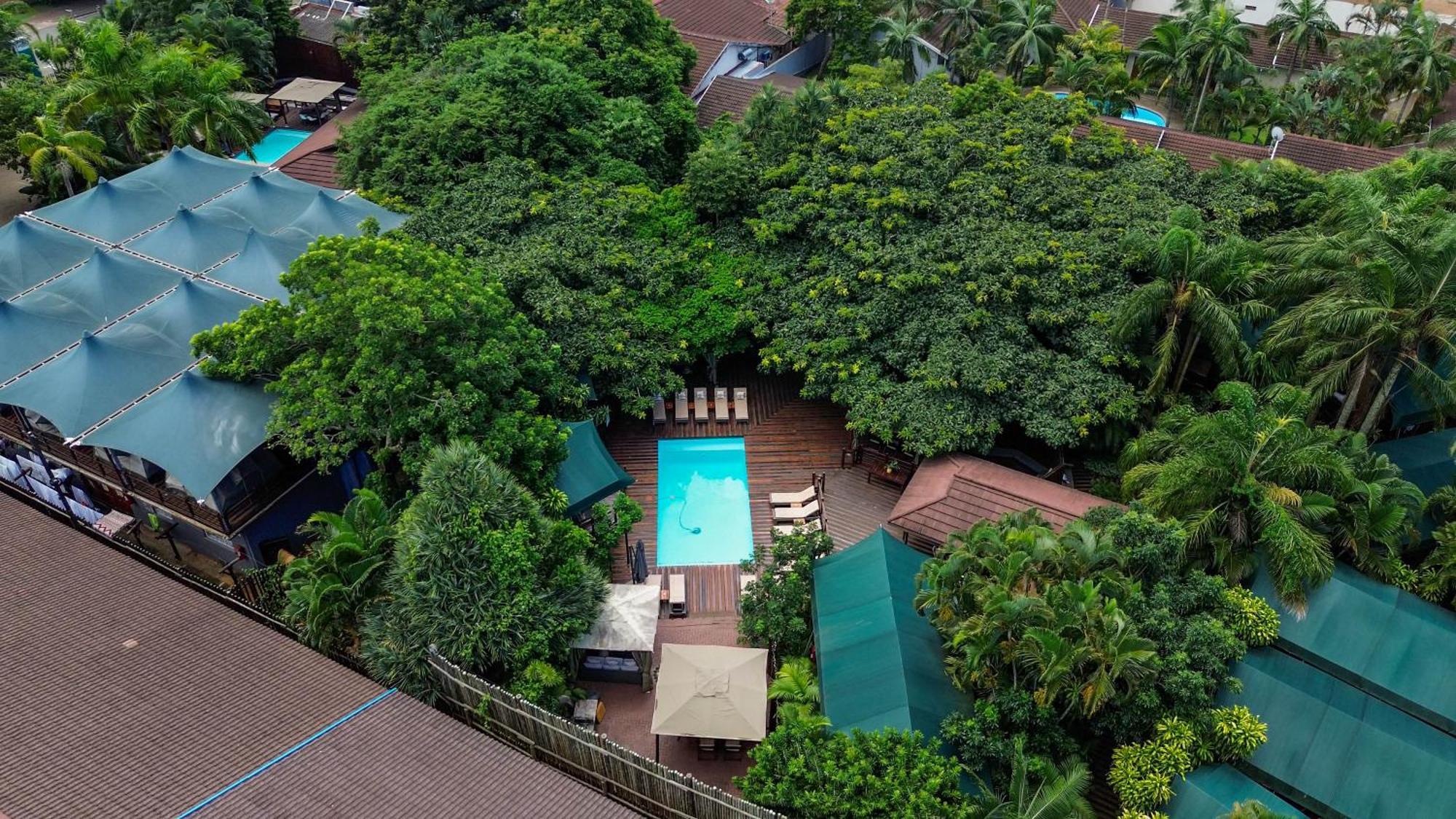 Luxury Tented Village @ Urban Glamping St. Lucia Exterior foto