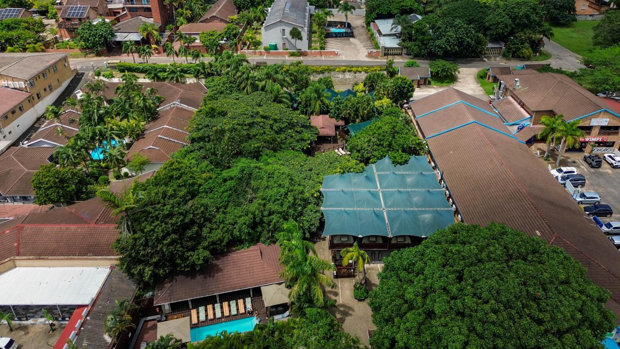 Luxury Tented Village @ Urban Glamping St. Lucia Exterior foto
