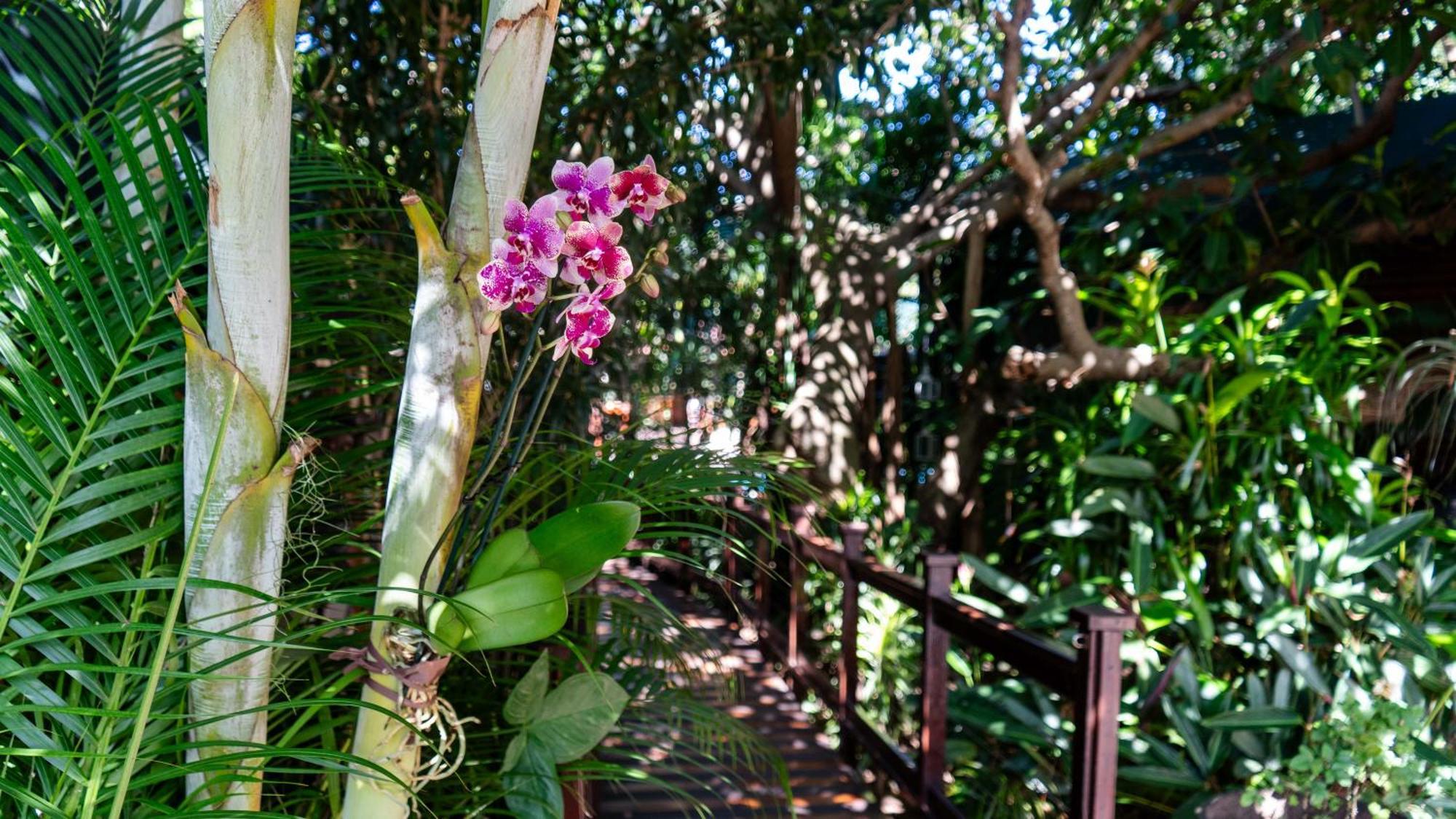 Luxury Tented Village @ Urban Glamping St. Lucia Exterior foto